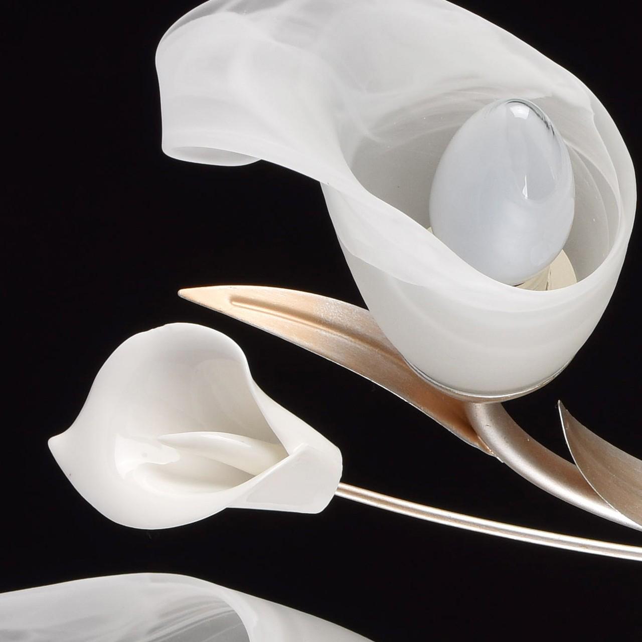 Потолочная люстра MW-Light Восторг 19 242016205 MW-LIGHT ВОСТОРГ 183120 Белый  - Вид №3