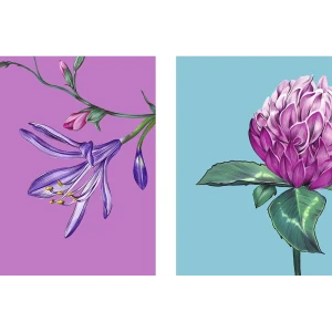 Постер В розовом цвете 50x70 см 2 шт.