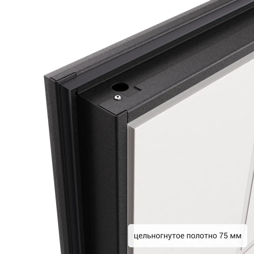 Дверь входная металлическая Хьюго 01 1000 мм левая TOREX STLM-2028376 - Вид №9