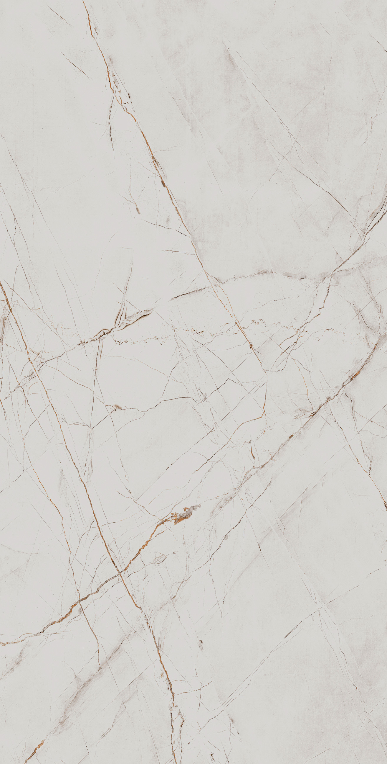 Керамогранит VALENCIA SILVER GREY 60х120 Arcadia Ceramica CR4027-A  - Вид №2