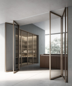 Стеклянная книжная дверь