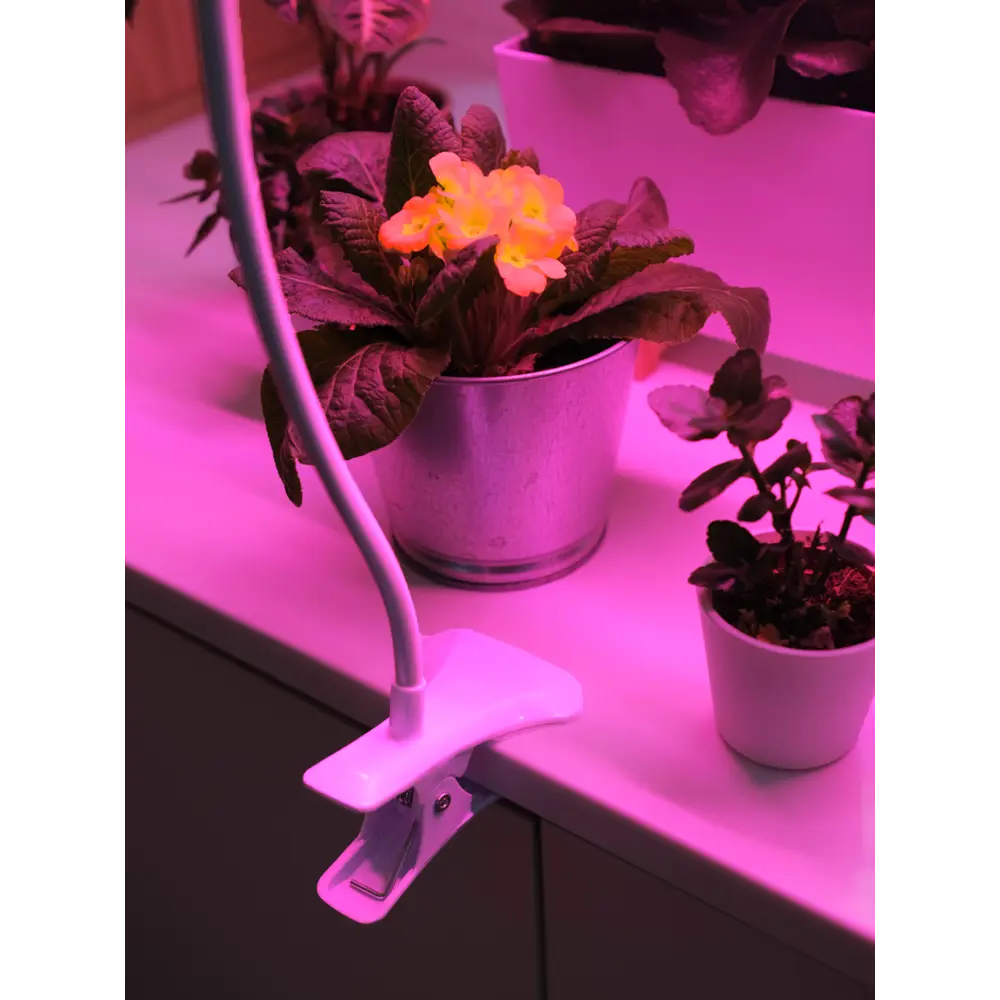 Светильник для растений на кронштейне с прищепкой Ritter 56305 1, 14 Вт, 21 μmol/s, 872 мм, фиолетовый свет 83614009 STLM-2206789  - Вид №19