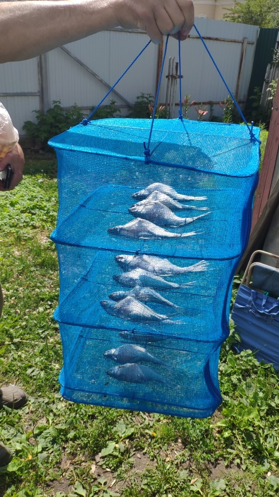 2402 Сушилка универсальная для рыбы, грибов и ягод 40*40*55 LAB.Space  - Вид №2