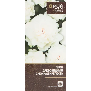 Пион древовидный привитый Снежная крепость в тубе