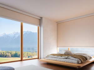 Затемняющие рулонные шторы