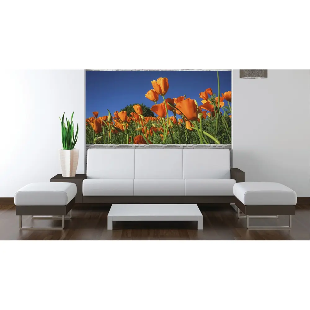 Фотообои «Маки» 200х100 см МОСКОВСКАЯ ОБОЙНАЯ ФАБРИКА STLM-2064221 - Вид №1