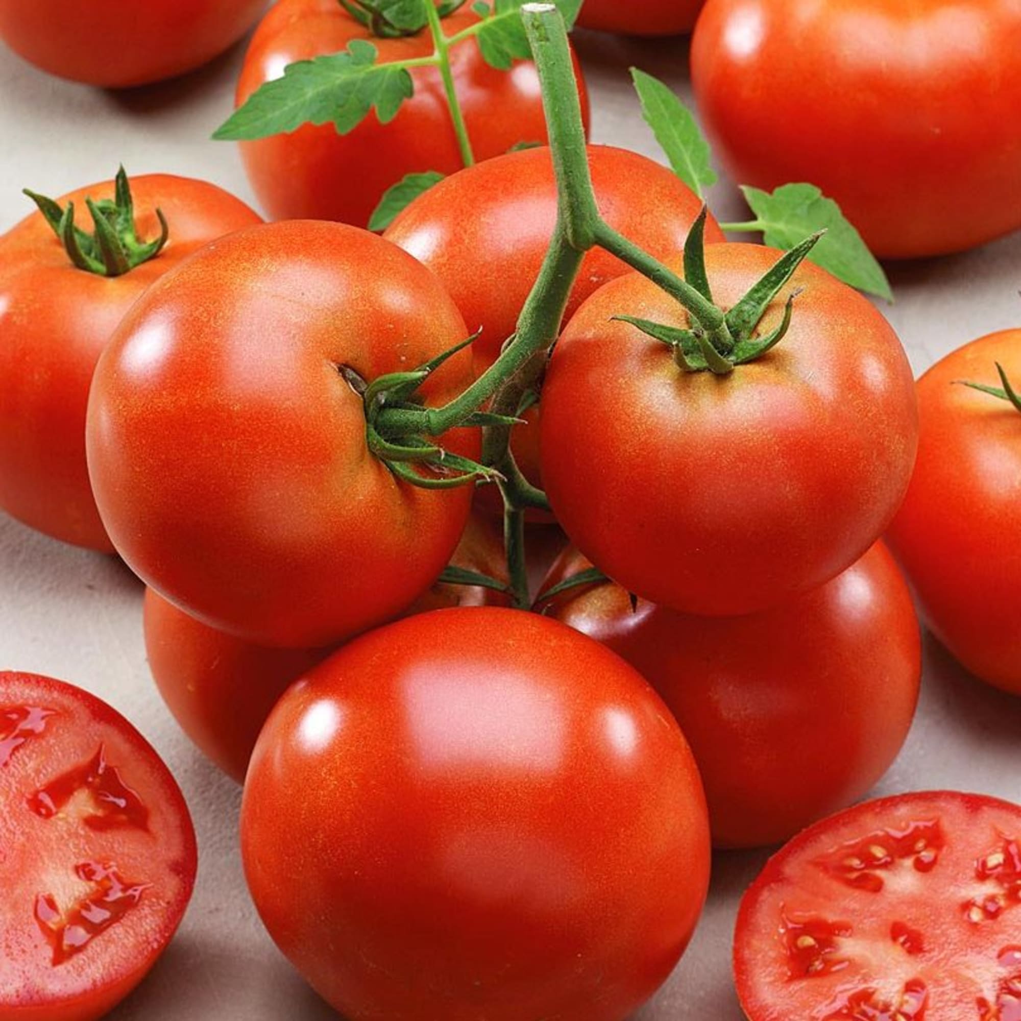 82585491 Томат 12x10 см Santreyd 