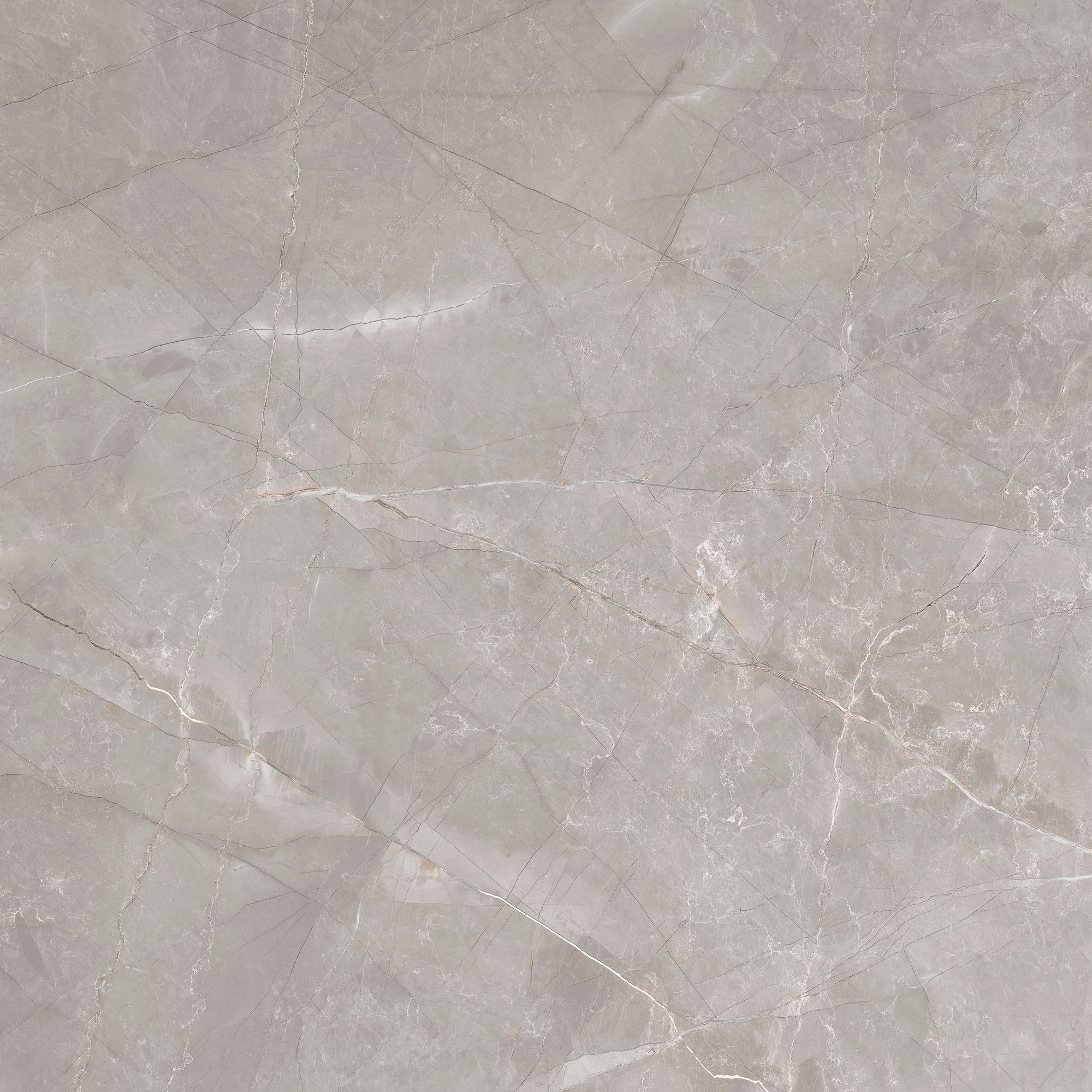 Пол / напольное покрытие из керамогранита с мраморным эффектом CERAMICA DEL CONCA BOUTIQUE ARCH-00056072 - Вид №11