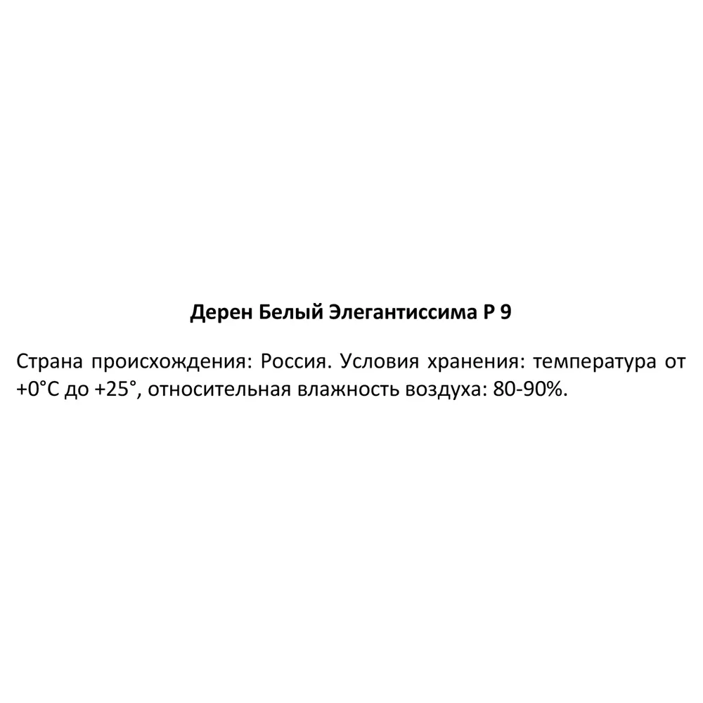 Дерен белый Элегантиссима ø9 h30 см 89364985 STLM-2019187 Santreyd  - Вид №3