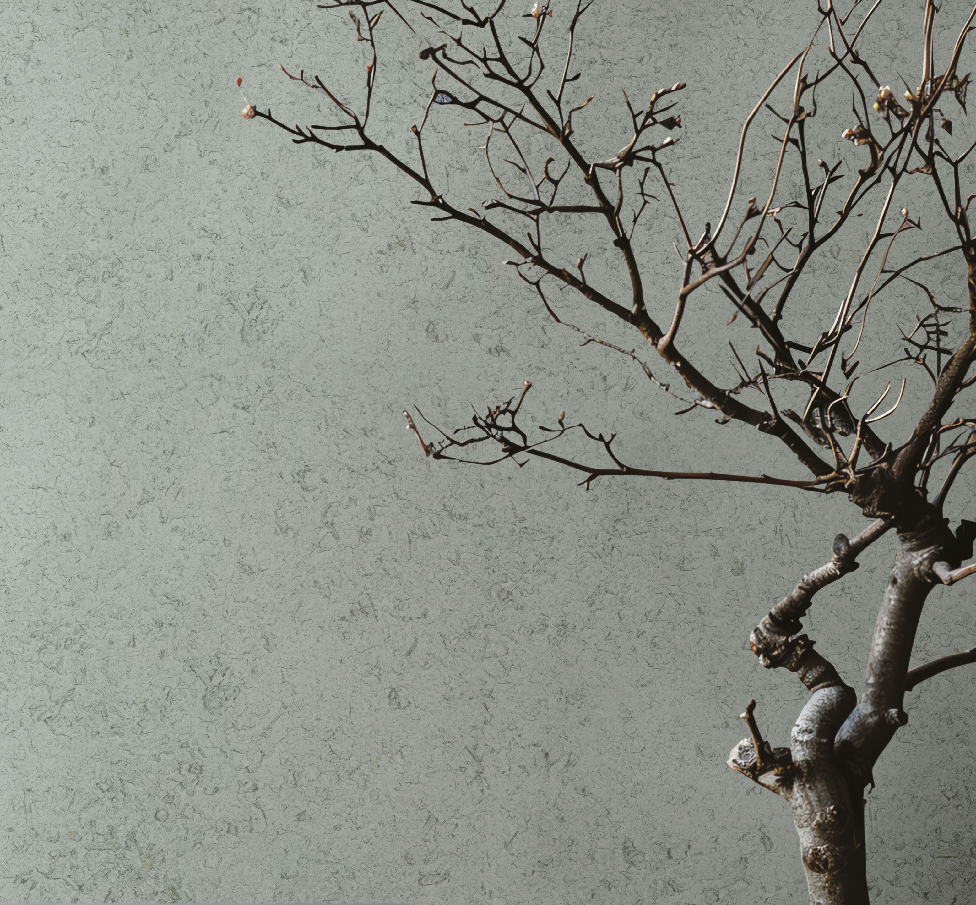 Декоративная живопись VALPAINT профессиональный ARCH-00028718 - Вид №2