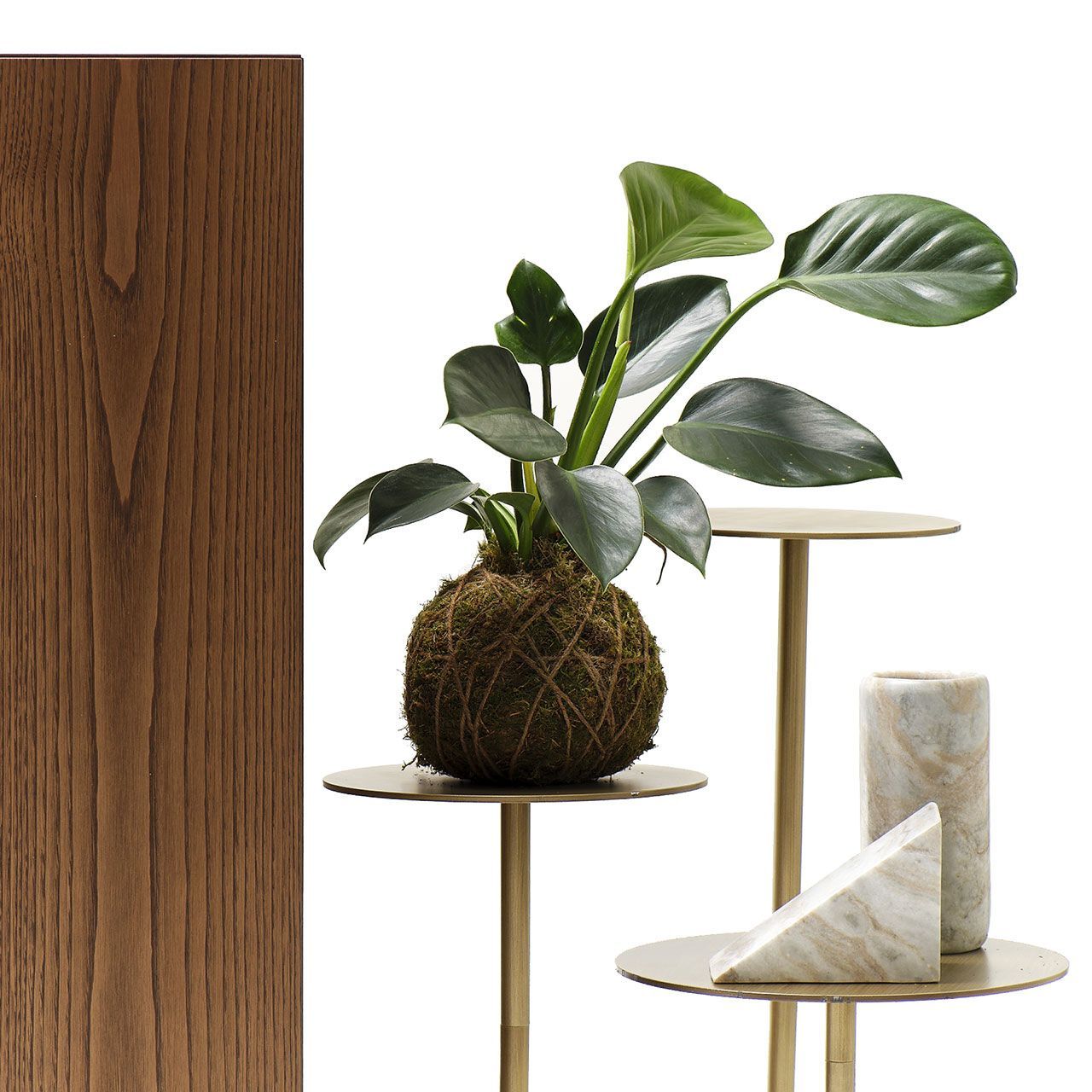 МДФ бардачок Mogg икебана ARCH-00044000 - Вид №5