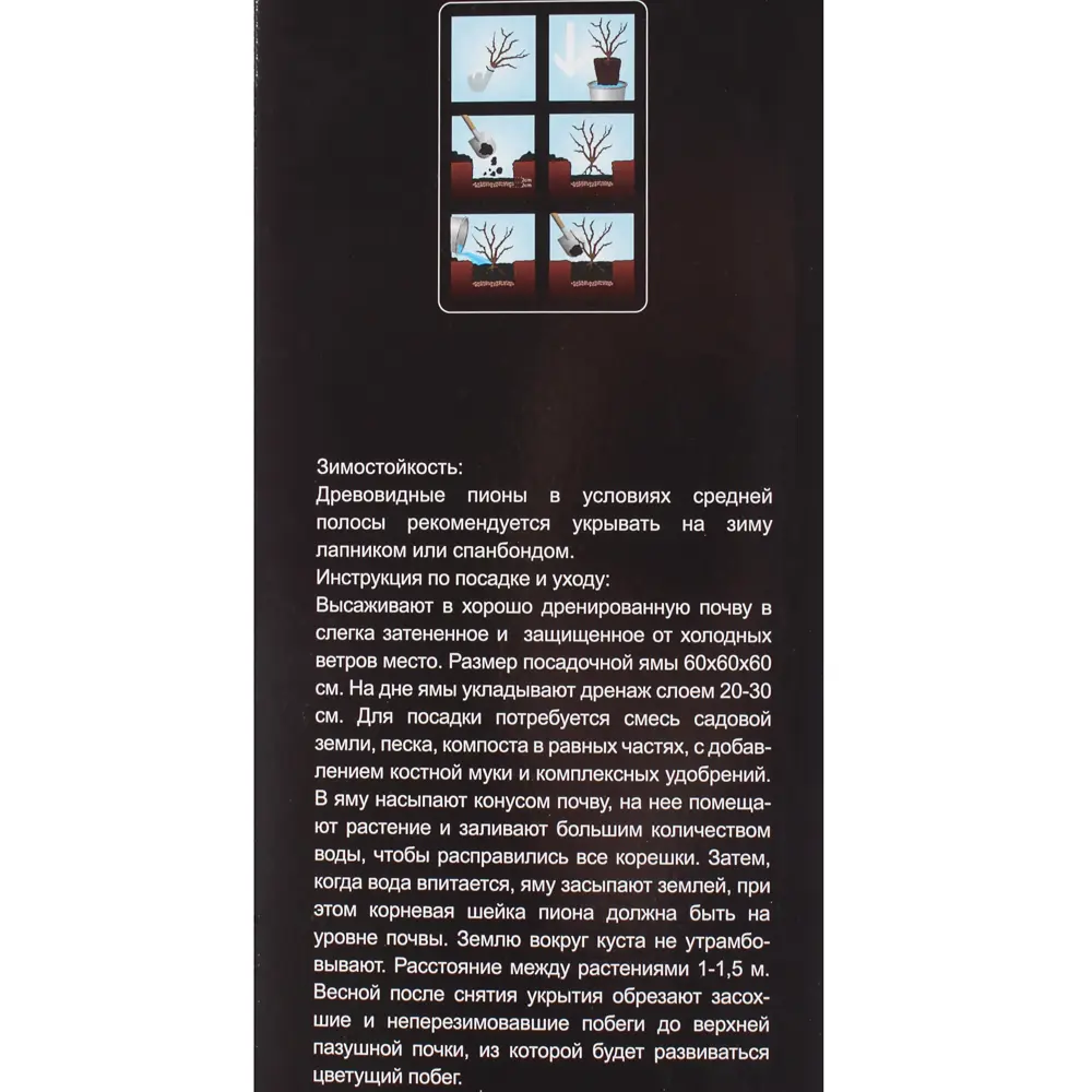Пион древовидный «Кинко» (в тубе) 81948478 STLM-2125893 Santreyd  - Вид №2