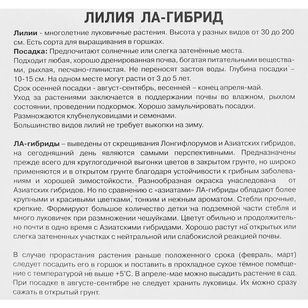 Лилия ла-гибрид Йеллоу Кокот 85205744 STLM-2062341 ПОИСК  - Вид №2