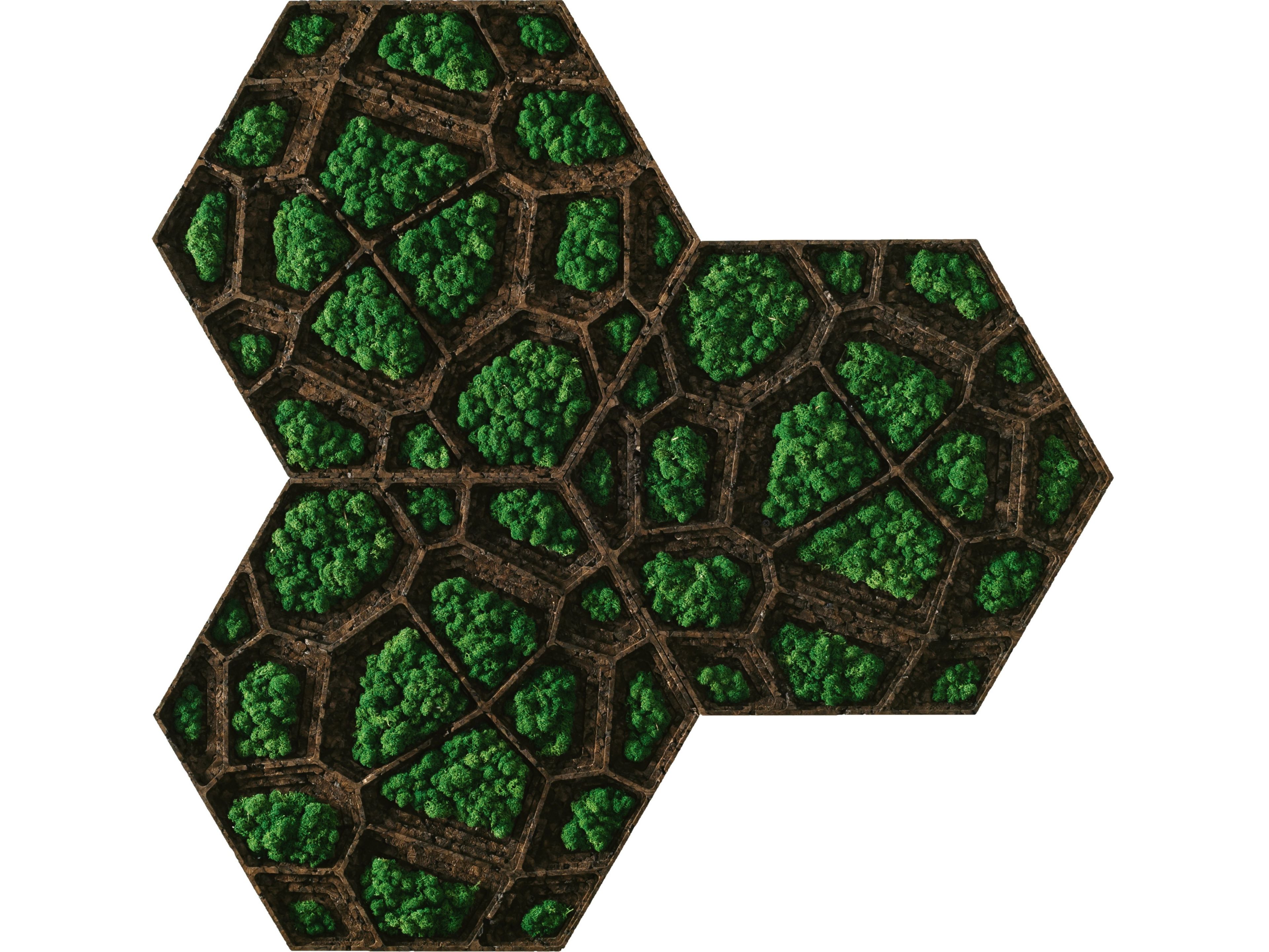 Пробковое покрытие GENCORK CORKVOR ARCH-00101957