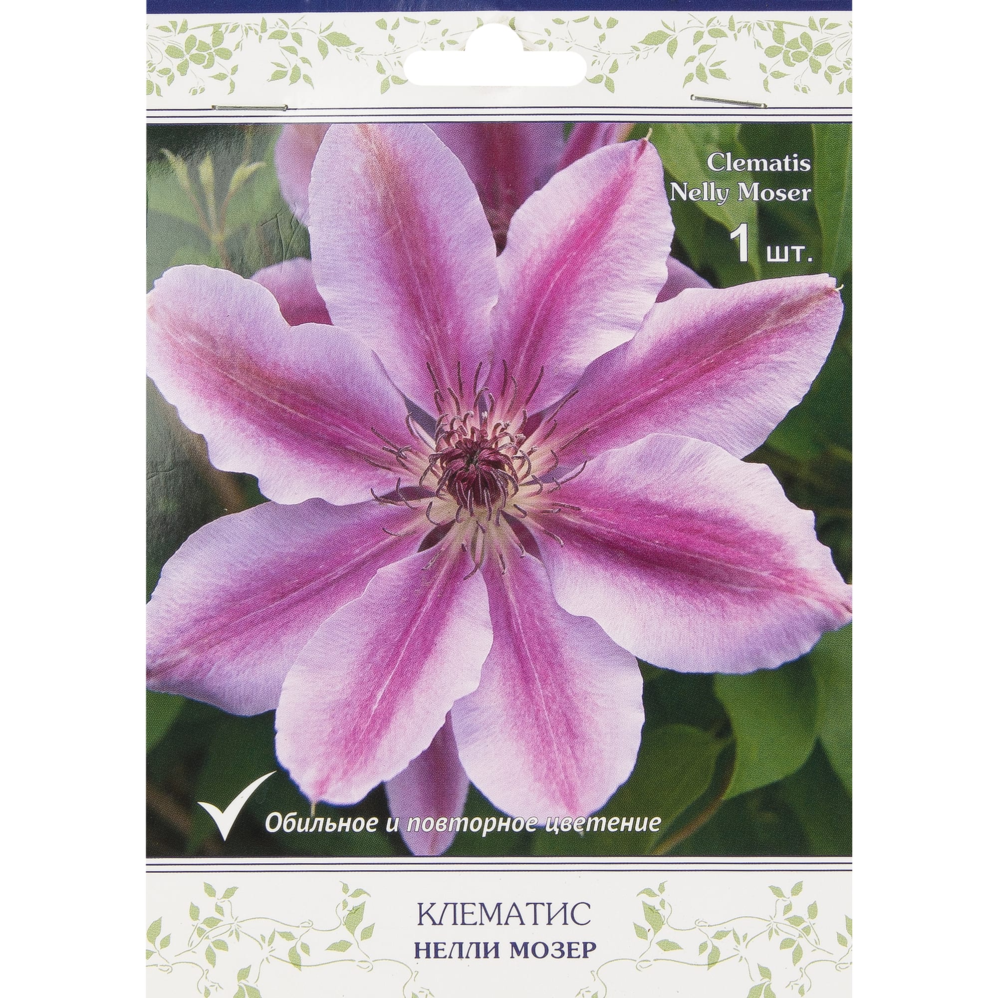 18345630 Клематис «Нелли Мозер» Santreyd 