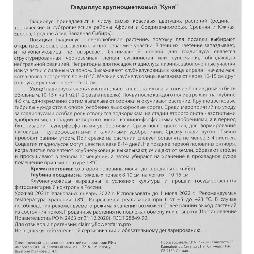 Гладиолус крупноцветковый Куки 7 шт BLOOMING LIFE STLM-2209771 - Вид №2