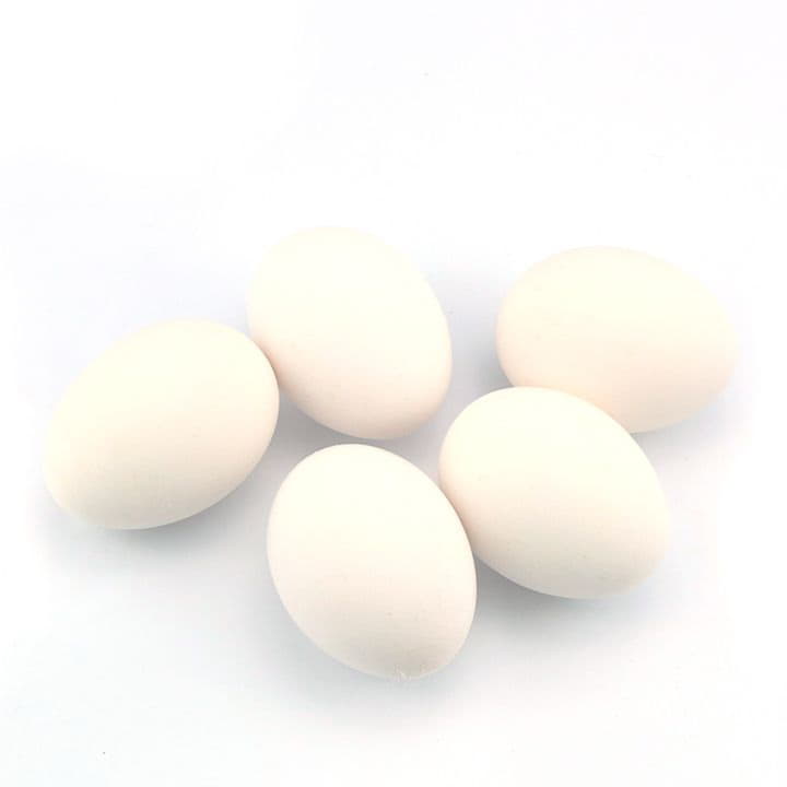 Яйцо куриное домашнее белое С0 Santreyd 2783 - Вид №1