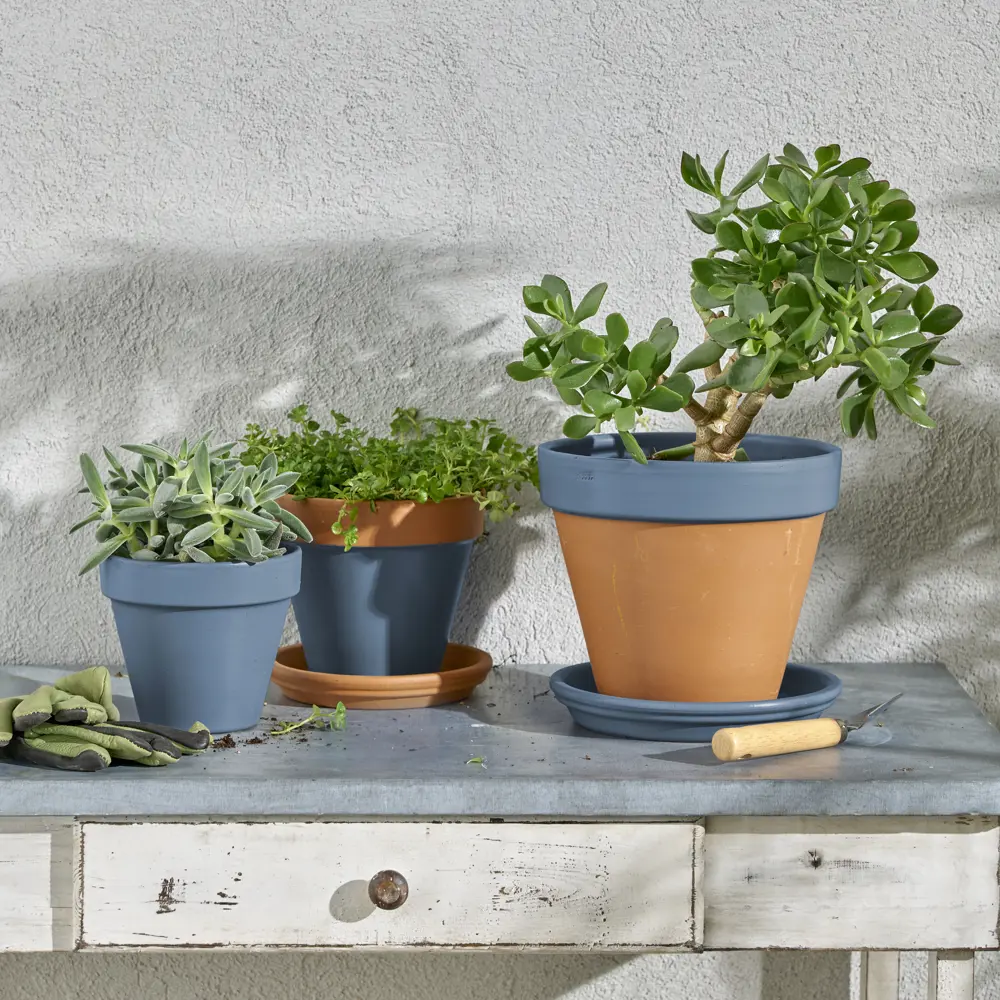 Аэрозольная эмаль Luxens: глянцевый серо-голубой для интерьера и экстерьера 83237441 STLM-0039785 - Вид №5