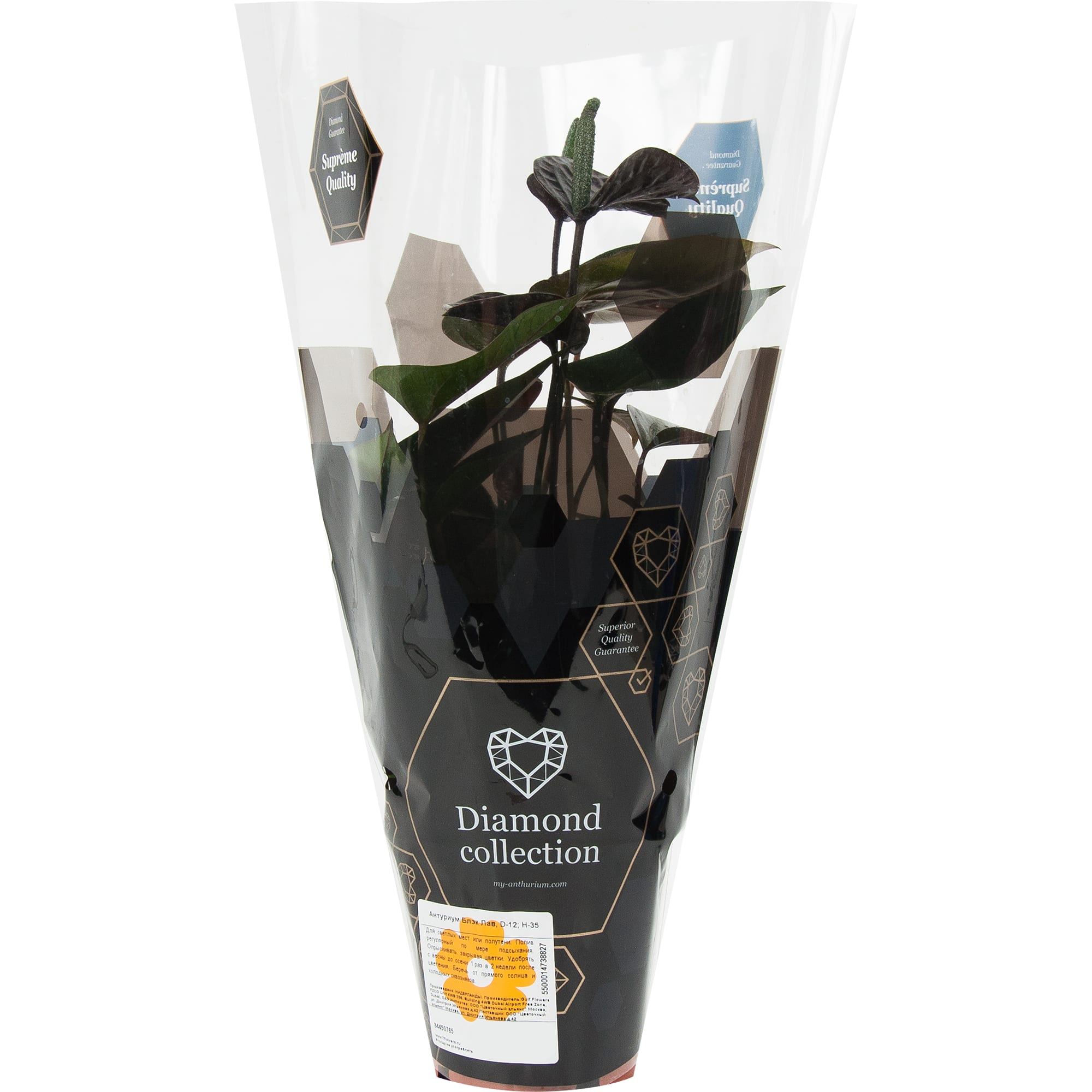 84450765 Антуриум Блэк лав ø12 h35 см Santreyd  - Вид №3