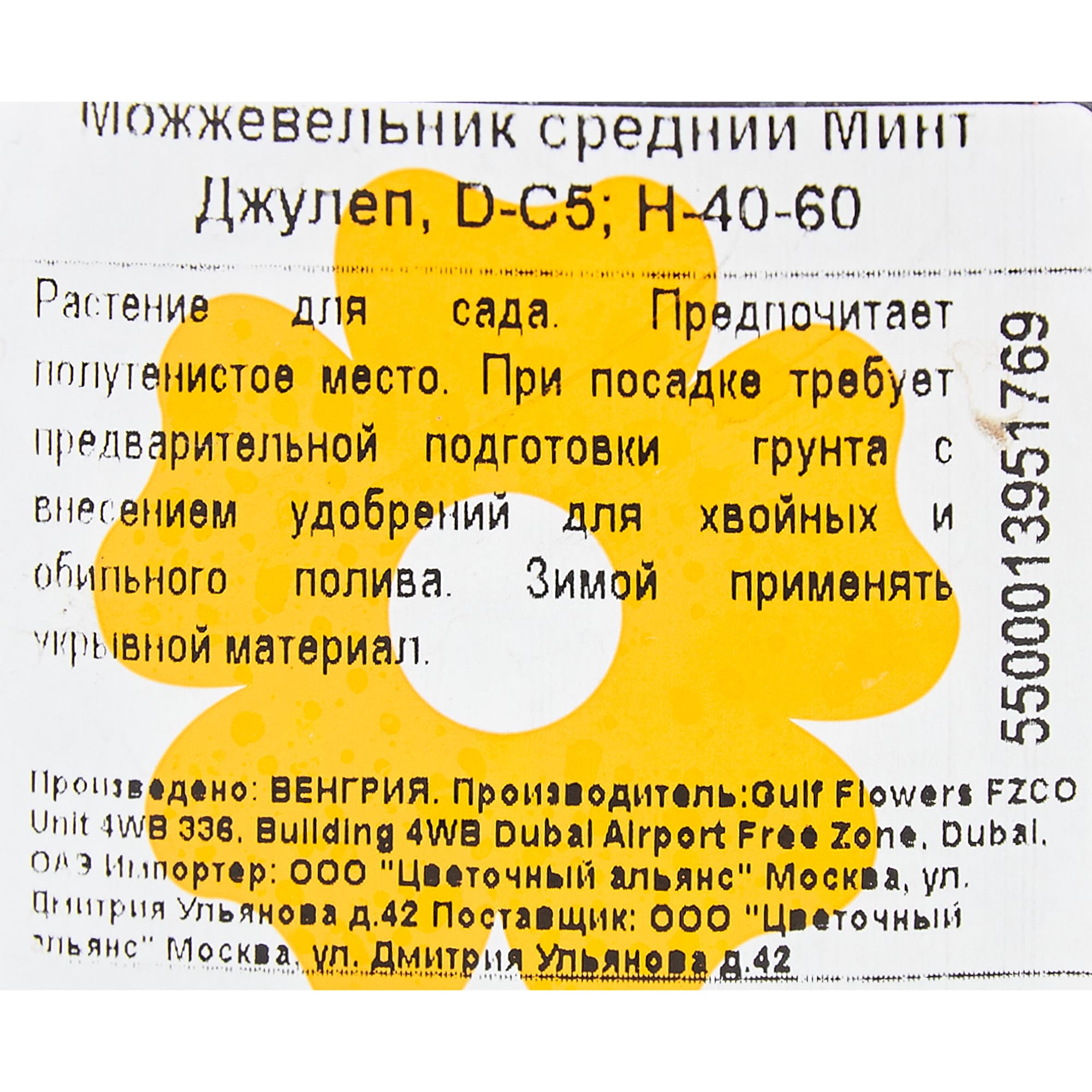 82176365 Можжевельник средний «Минт Джулеп» 5-7.5 л 40-60 см Santreyd  - Вид №1