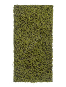 20.0820412M Мох Сфагнум Fuscum оливково-зелёный (полотно среднее) Цветочная коллекция