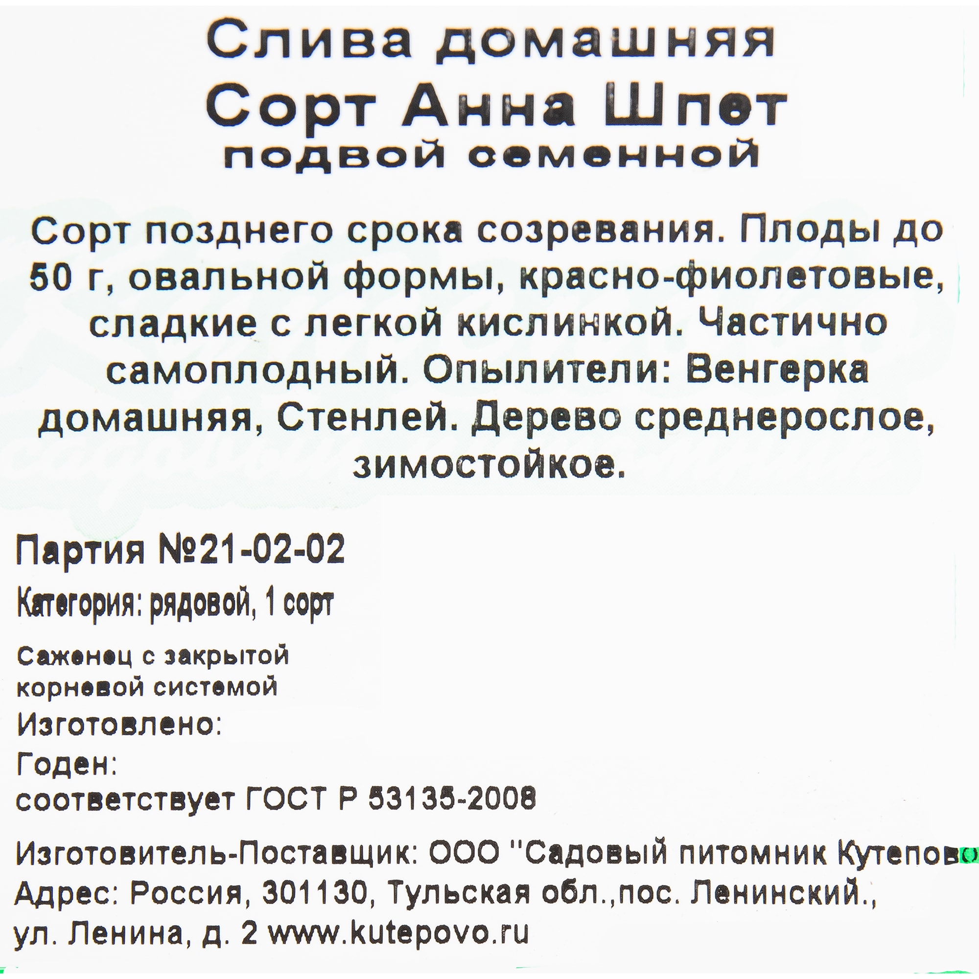 82597131 Слива «Анна Шпет» C4 высота 140 см Santreyd  - Вид №1