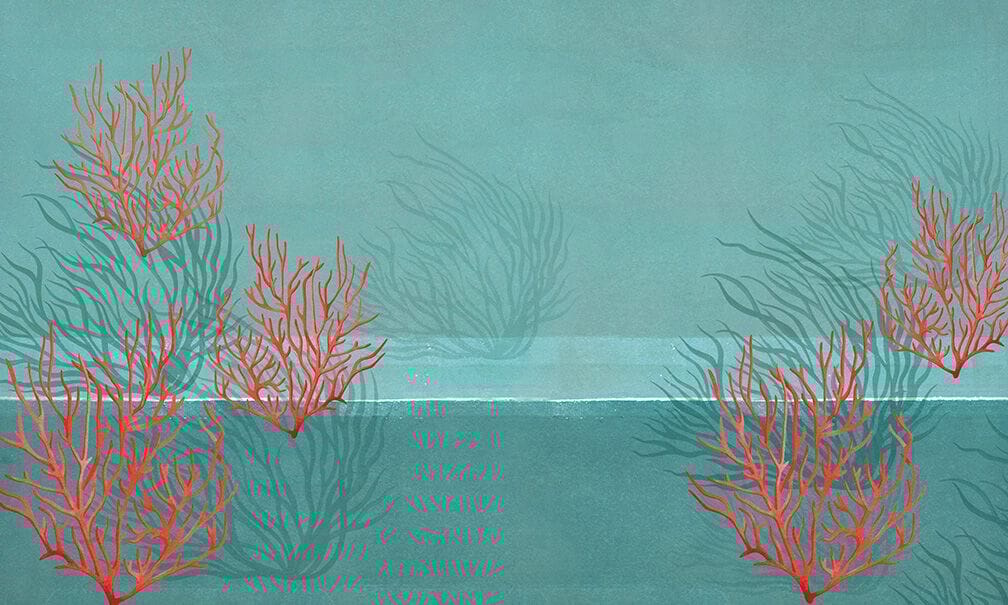 Обои с рисунком N.O.W. Edizioni CONCRETE / CORAL REEF ARCH-00037024 - Вид №2