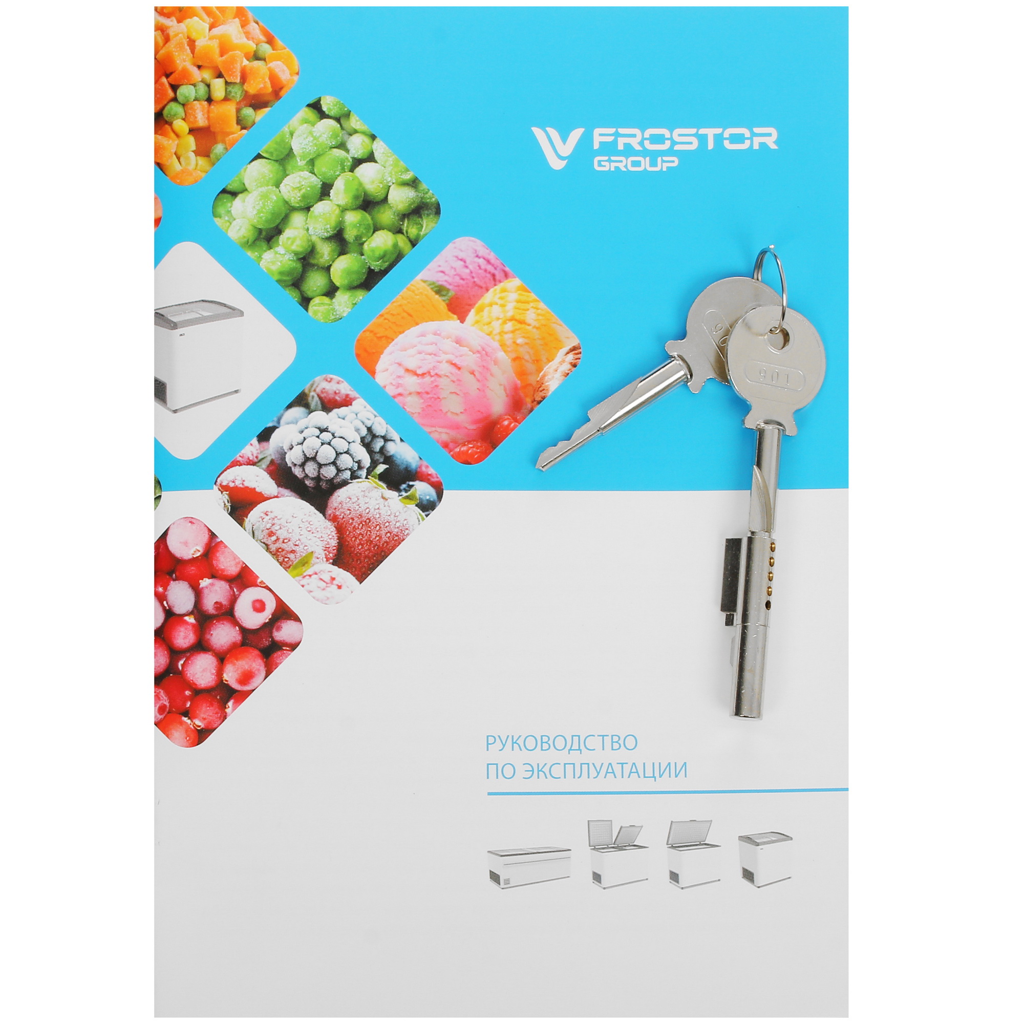 1109655 Морозильный ларь Frostor Gellar FG 250 E белый, красный STDN-0114797 - Вид №7