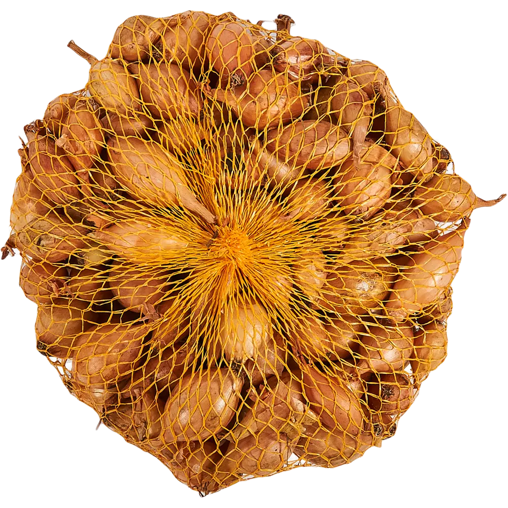 Лук-севок Коррадо луковица 10/21, 0.35 кг Santreyd STLM-2054121