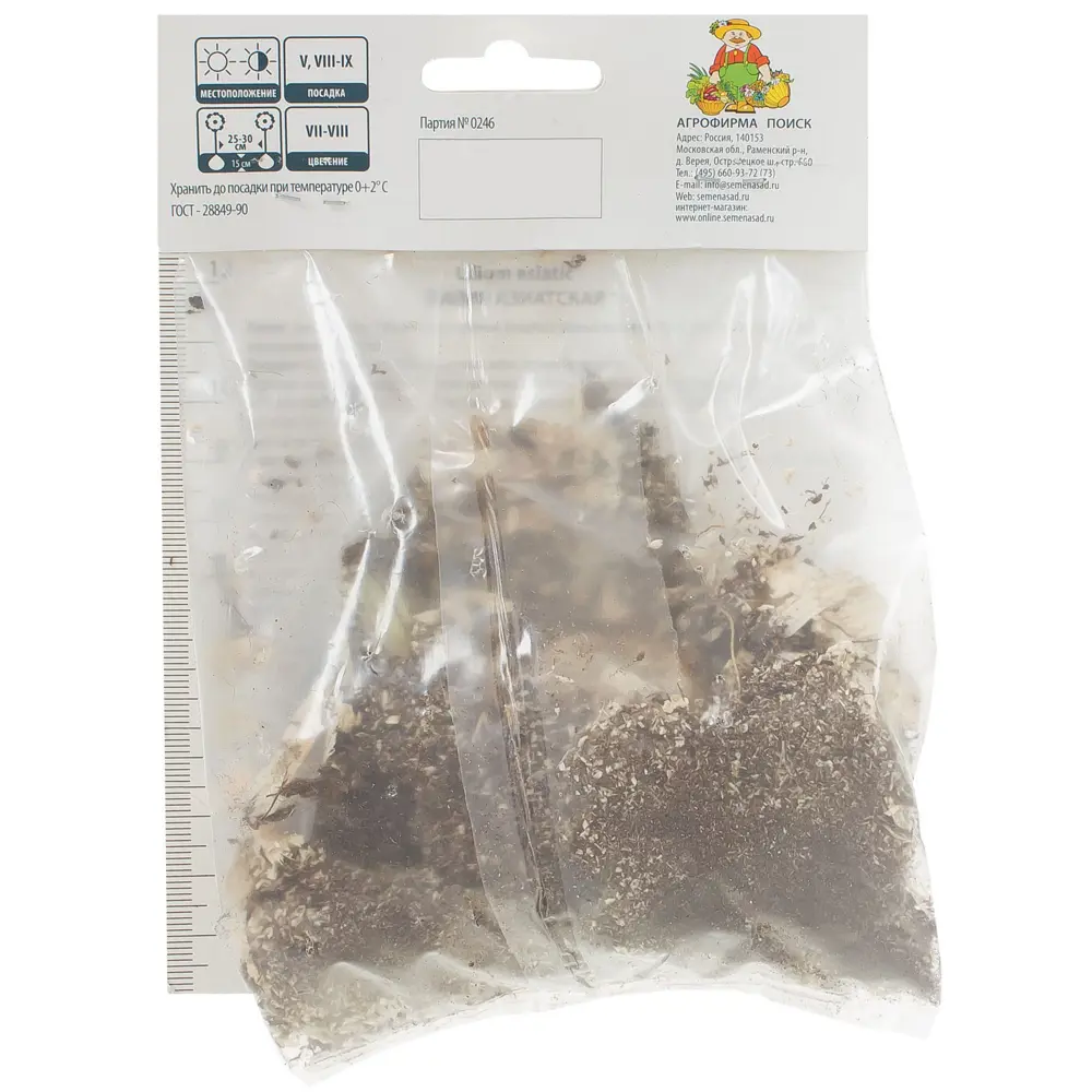 Луковица лилии Форевер Сьюзан - яркий оранжево-бордовый цветок для сада 81945453 Santreyd STLM-1580884 - Вид №1