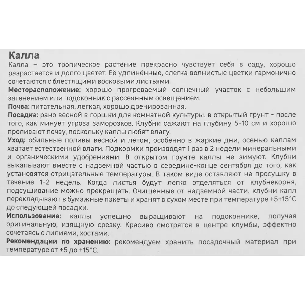 Калла Geolia Санклаб 86408671 STLM-2027743  - Вид №2