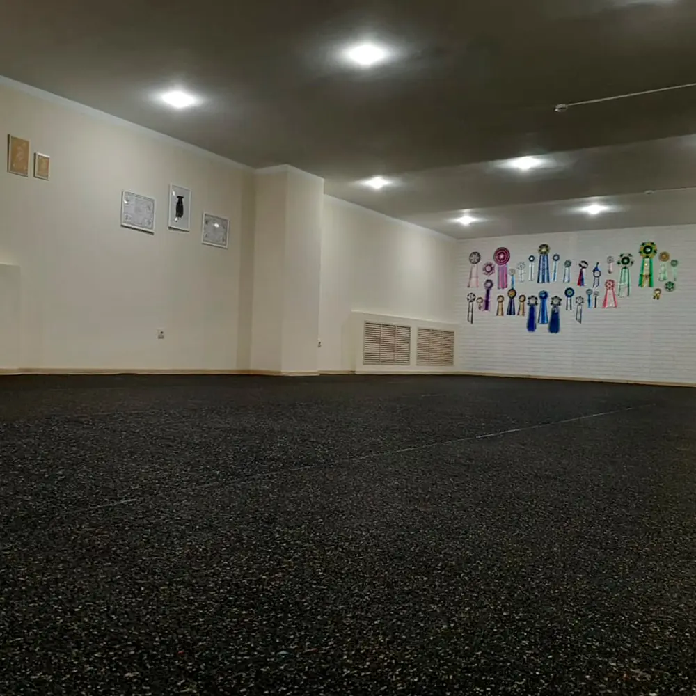 Резиновое покрытие Alegria Color 810 3 мм 1.2x15 м 15 м² 84804126 STLM-2145323 Santreyd  - Вид №8