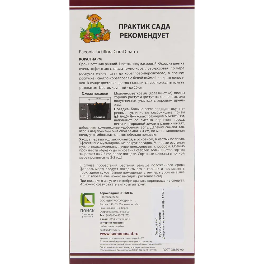 Пион молочноцветковый «Корал Чарм», размер луковицы I Santreyd STLM-2119513 - Вид №1