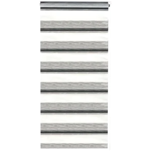 Штора рулонная день-ночь Лечче 80x160 см серая