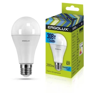 Светодиодная лампа Ergolux LED-A70-30W-E27-4K 14229