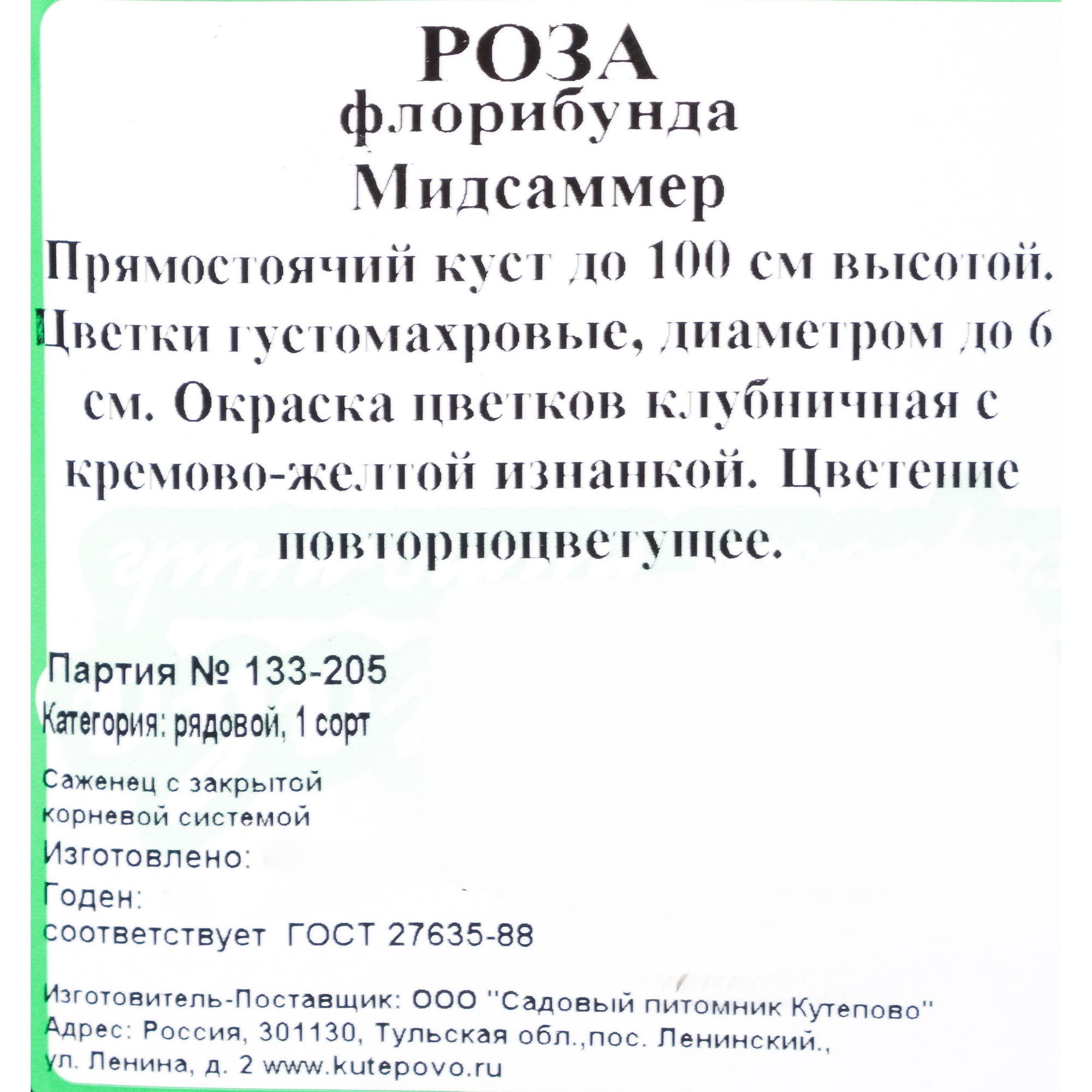 82237672 Роза флорибунда «Мидсаммер» С4 Santreyd 