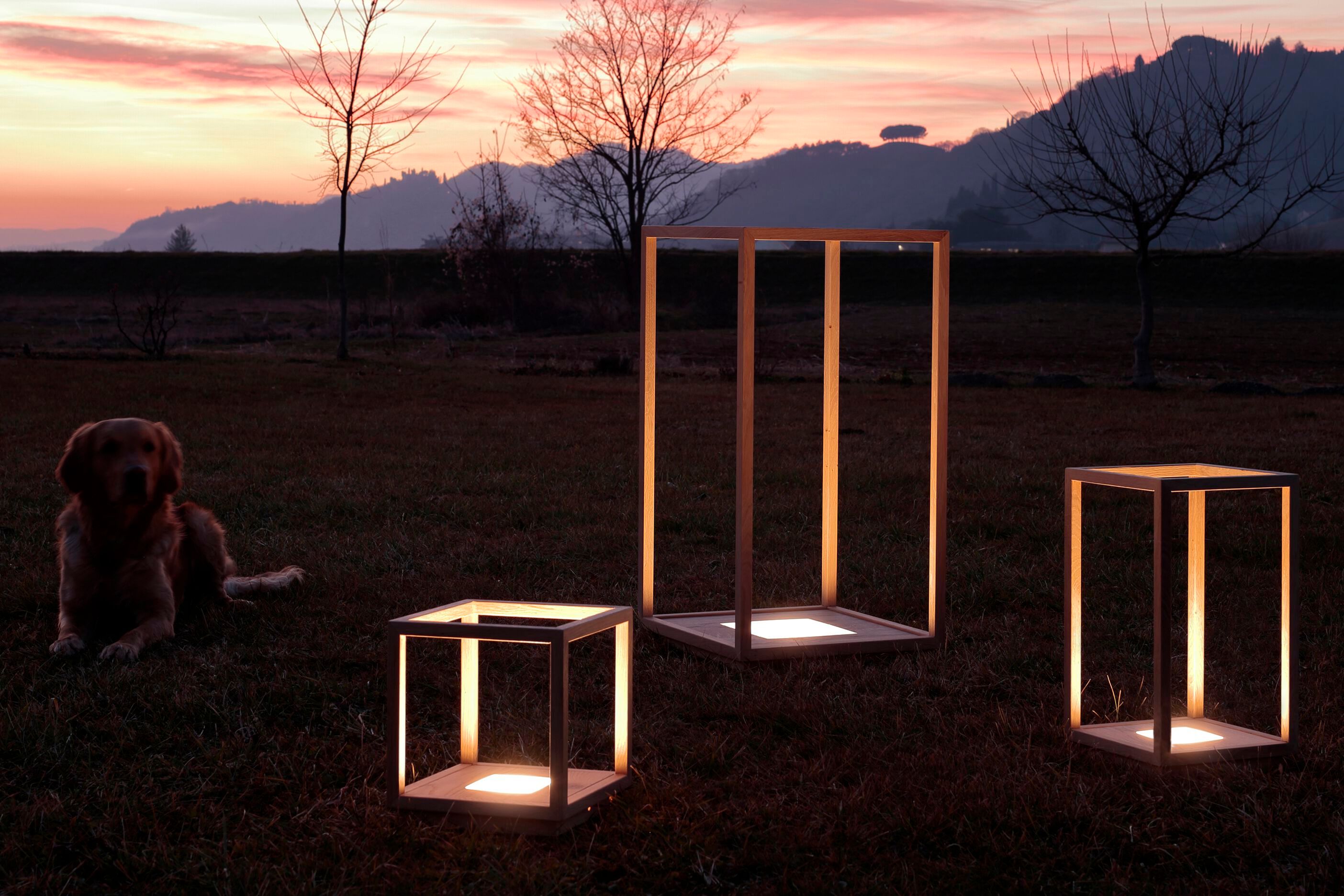 Напольная лампа из дуба Deodara Световой короб ARCH-00101203 - Вид №6