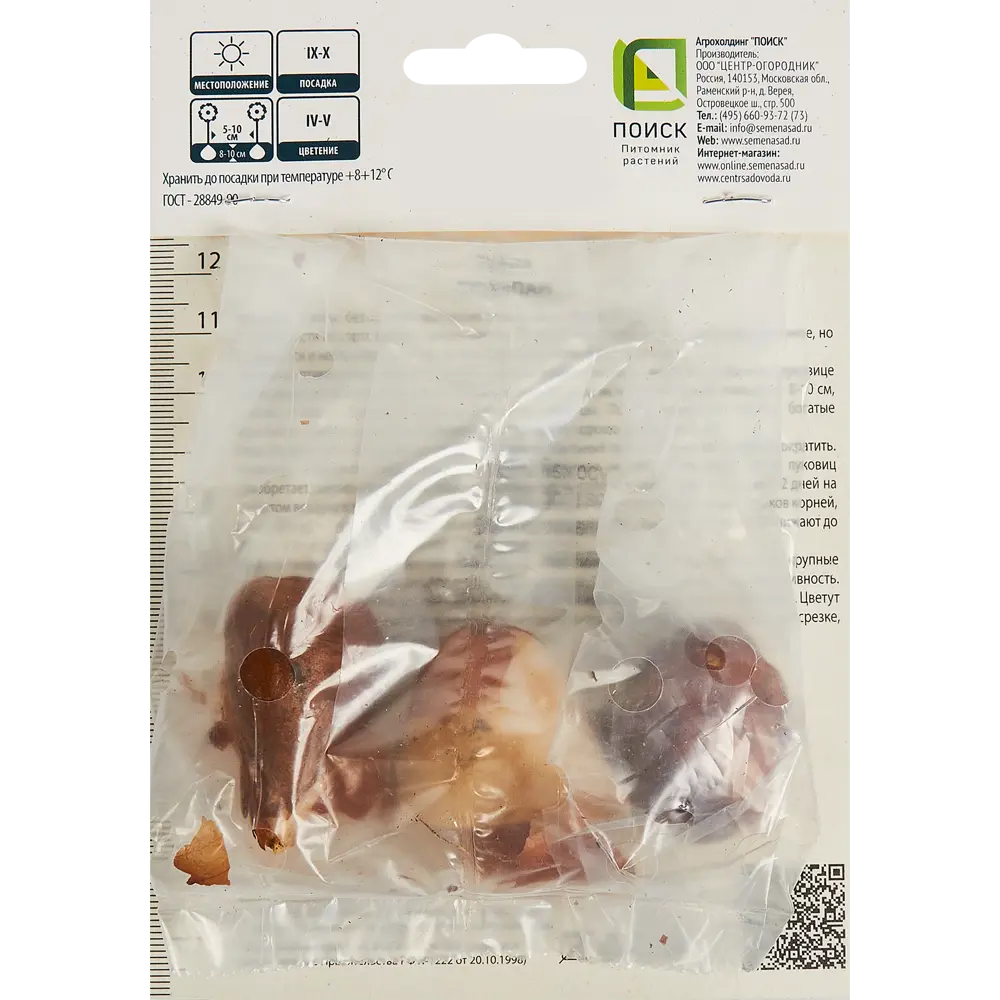 Тюльпаны Триумф Хеппи Дженерейшн ПОИСК - белые с красным, 3 луковицы 85205525 STLM-1578892 - Вид №1