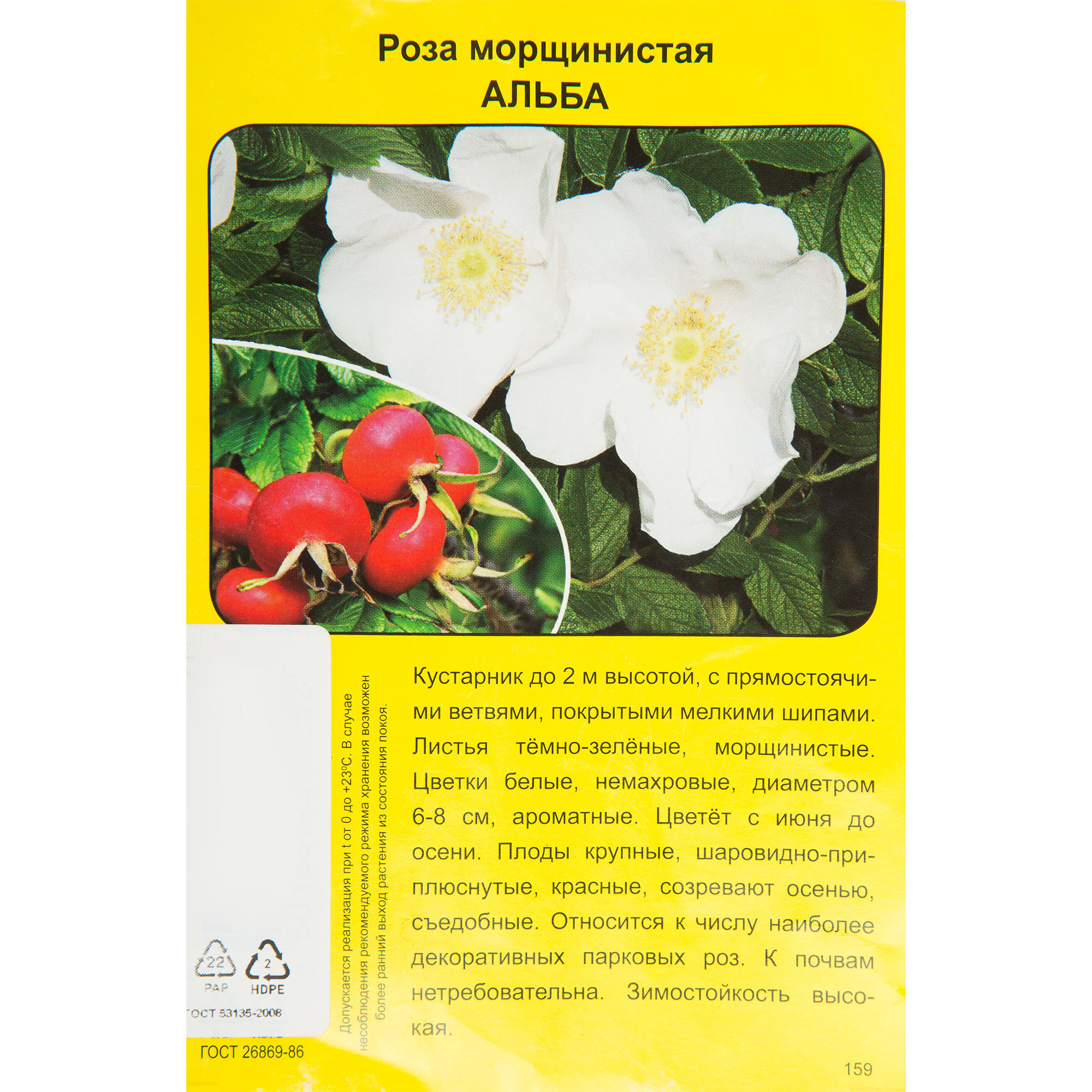 83786653 Роза морщинистая Альба h40 см Santreyd 