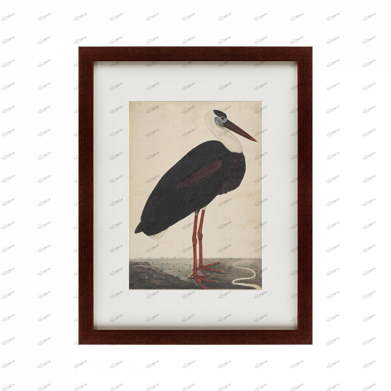 Картина: Black Stork in a Landscape, Индия, 1780 КАРТИНЫ В КВАРТИРУ  135771 Разноцветный 