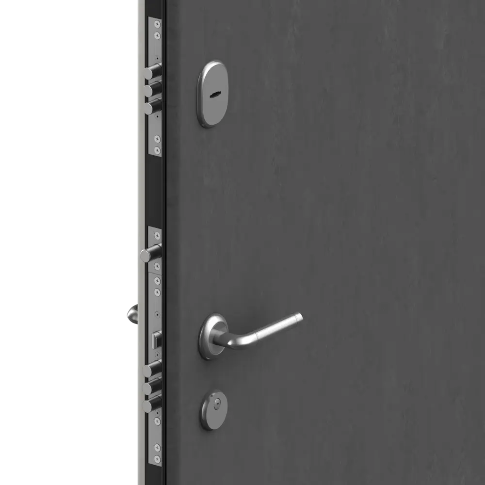 Дверь входная металлическая Премиум New 98x205 см левая белый DOORHAN STLM-2137841 - Вид №2