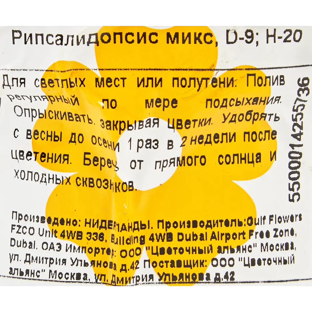 Santreyd Рипсалидопсис микс - пасхальный кактус с ароматными цветами 14750603 STLM-0005095 - Вид №3