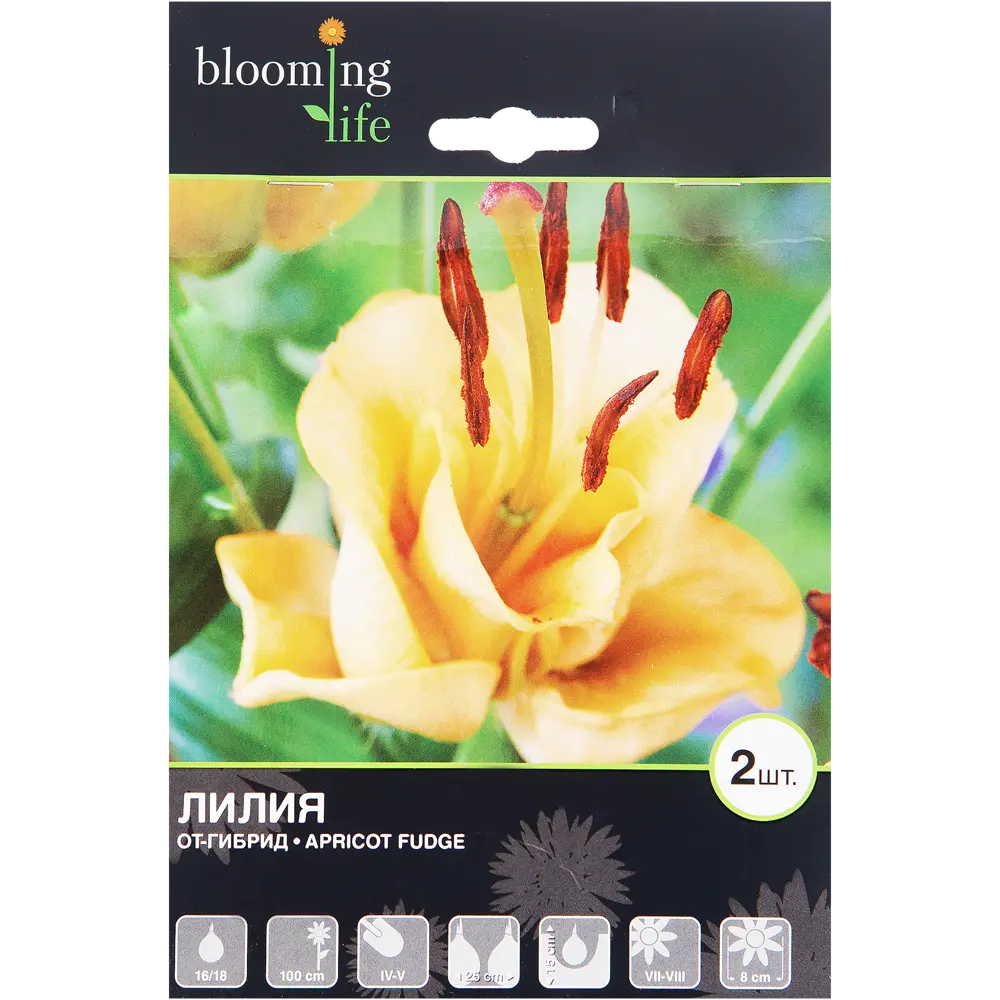 Лилия ОТ-гибрид Эприкот Фьюдж луковица 16/18 2 шт BLOOMING LIFE STLM-2001544