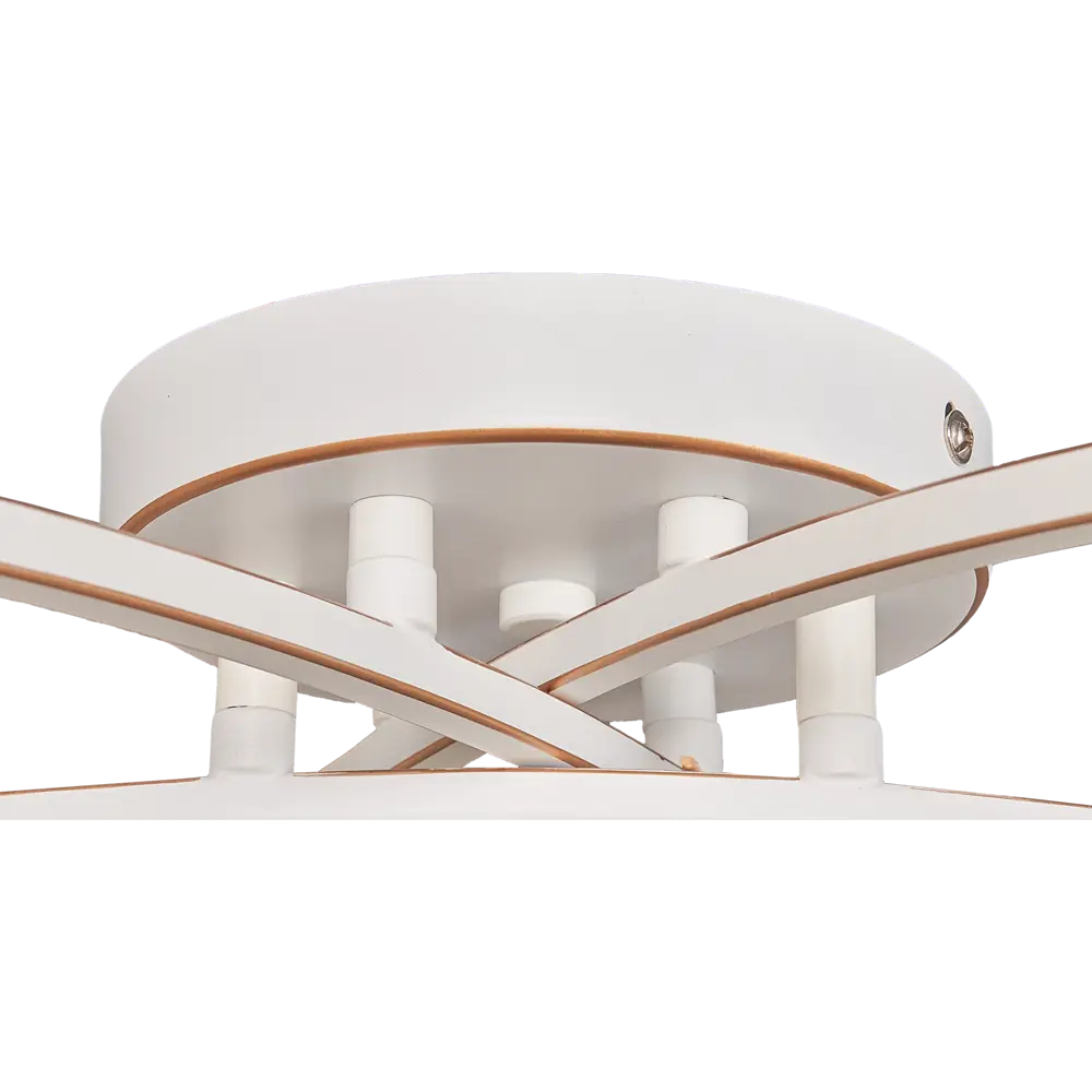 Люстра L1114-6 «Monreal» 6хE14х60 Вт LAMPLANDIA STLM-2184961 - Вид №4