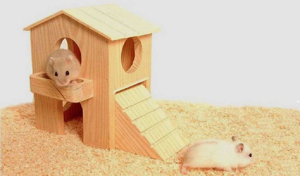 Домик для крысы