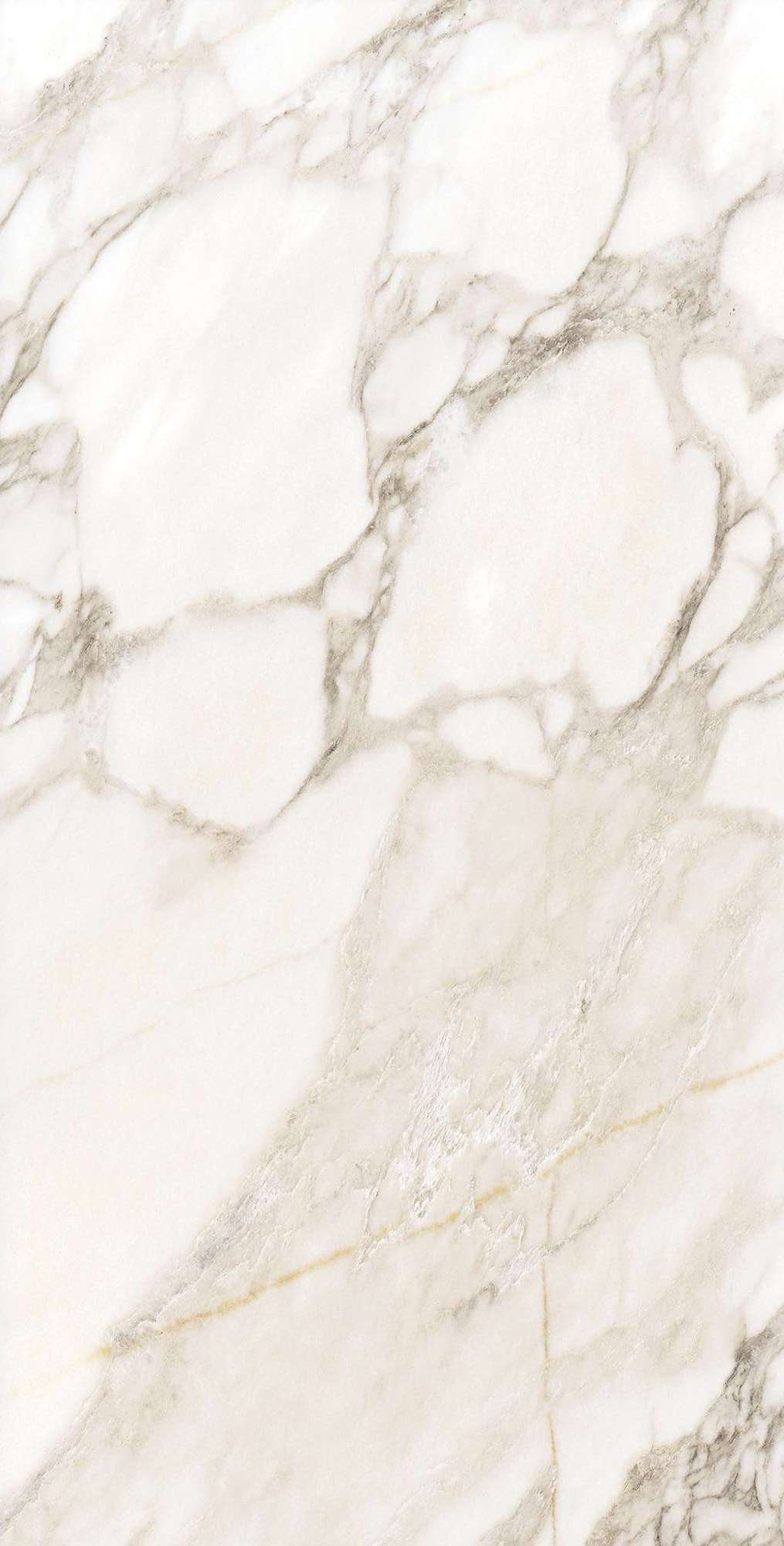 Керамогранит AURORA BEIGE 60х120 Arcadia Ceramica FP1016-A STLM-1576875 89396418  - Вид №6