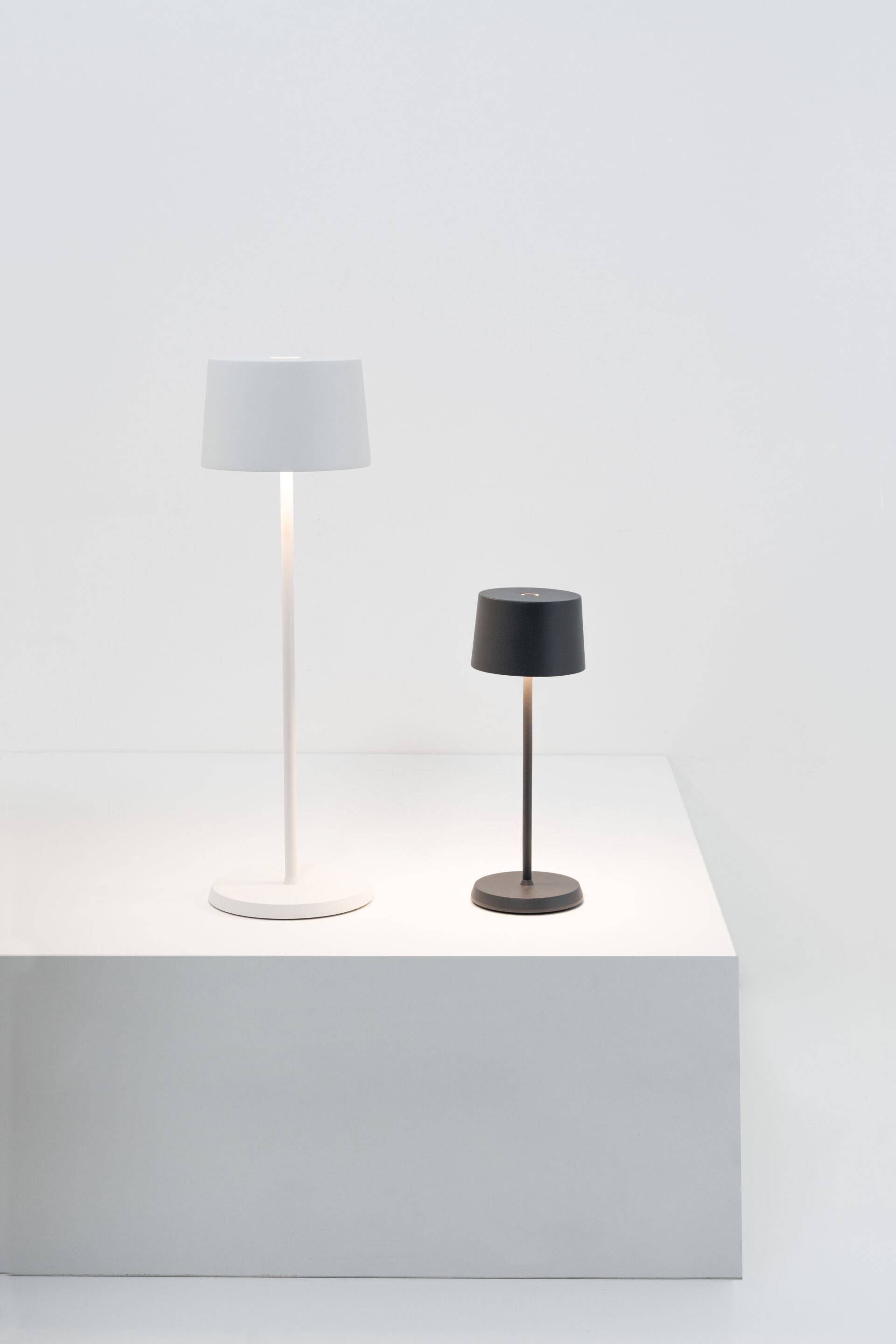 Алюминиевая светодиодная настольная лампа с батарейным питанием Zafferano Оливия ARCH-00101554 - Вид №9