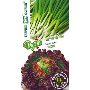 Семена овощей Гавриш лук-батун Изумрудный и салат Яхонт