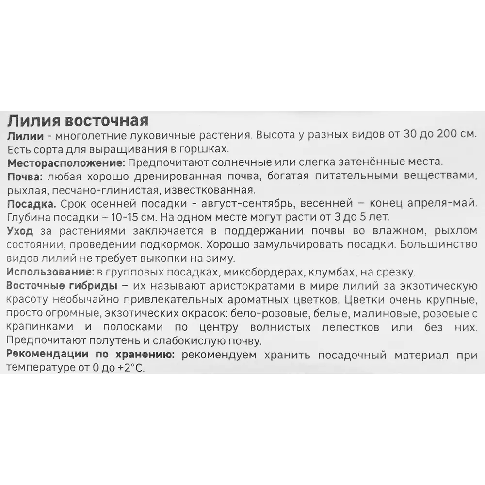 Лилия Geolia восточная Авиньер STLM-2069503 - Вид №3