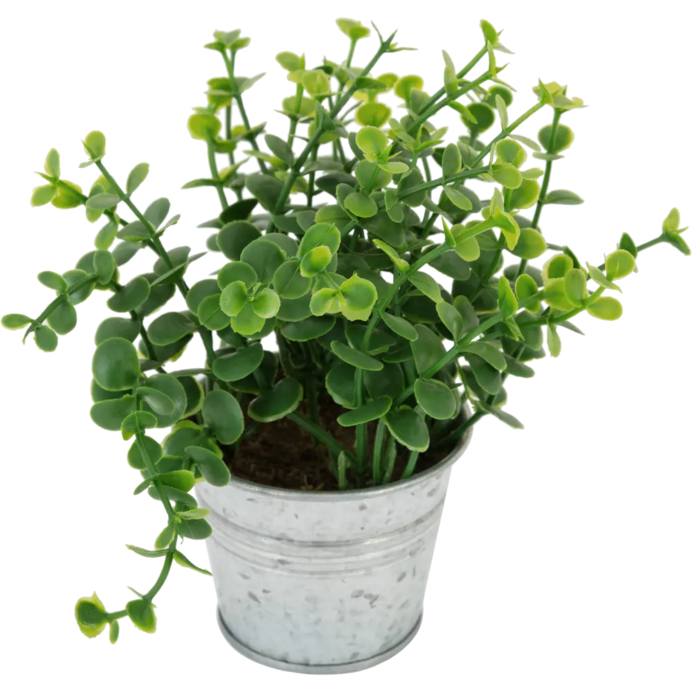 Искусственное растение в металлическом горшке 114754 ø16 h15 см Santreyd STLM-2173474